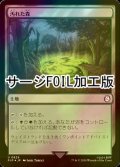 [FOIL] 汚れた森/Tainted Wood No.829 (サージ仕様) 【日本語版】 [PIP-土地U]