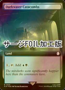 画像1: [FOIL] ダークウォーターの地下墓地/Darkwater Catacombs No.1020 (拡張アート版・サージ仕様) 【英語版】 [PIP-土地R]