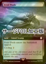 [FOIL] 異臭の池/Fetid Pools No.1024 (拡張アート版・サージ仕様) 【英語版】 [PIP-土地R]