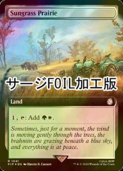 画像1: [FOIL] サングラスの大草原/Sungrass Prairie No.1041 (拡張アート版・サージ仕様) 【英語版】 [PIP-土地R]