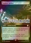 [FOIL] 窪み渓谷/Sunken Hollow No.1042 (拡張アート版・サージ仕様) 【英語版】 [PIP-土地R]