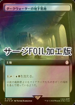 画像1: [FOIL] ダークウォーターの地下墓地/Darkwater Catacombs No.1020 (拡張アート版・サージ仕様) 【日本語版】 [PIP-土地R]