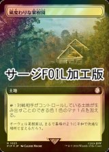 [FOIL] 風変わりな果樹園/Exotic Orchard No.1023 (拡張アート版・サージ仕様) 【日本語版】 [PIP-土地R]