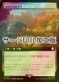 [FOIL] まばらな木立ち/Scattered Groves No.1033 (拡張アート版・サージ仕様) 【日本語版】 [PIP-土地R]