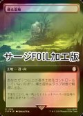 [FOIL] 燻る湿地/Smoldering Marsh No.1038 (拡張アート版・サージ仕様) 【日本語版】 [PIP-土地R]