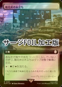 画像1: [FOIL] 陽花弁の木立ち/Sunpetal Grove No.1043 (拡張アート版・サージ仕様) 【日本語版】 [PIP-土地R]