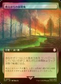 [FOIL] 燃えがらの林間地/Cinder Glade No.490 (拡張アート版) 【日本語版】 [PIP-土地R]