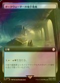 [FOIL] ダークウォーターの地下墓地/Darkwater Catacombs No.492 (拡張アート版) 【日本語版】 [PIP-土地R]