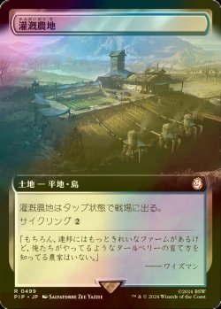 画像1: [FOIL] 灌漑農地/Irrigated Farmland No.499 (拡張アート版) 【日本語版】 [PIP-土地R]