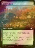 [FOIL] まばらな木立ち/Scattered Groves No.505 (拡張アート版) 【日本語版】 [PIP-土地R]