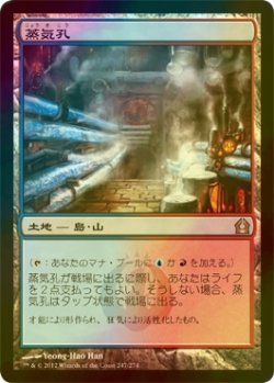 画像1: 蒸気孔/Steam Vents (RTR/土地R/日/foil/EX+) ※詳細要確認 