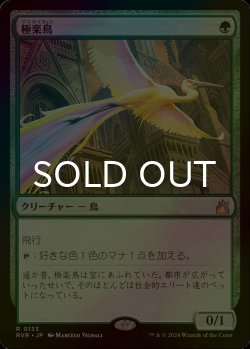 画像1: [FOIL] 極楽鳥/Birds of Paradise 【日本語版】 [RVR-緑R]