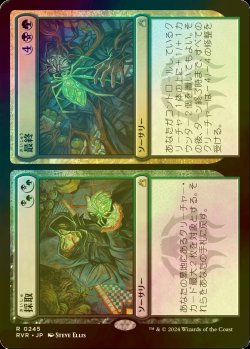 画像1: [FOIL] 採取 + 最終/Find + Finality 【日本語版】 [RVR-金R]