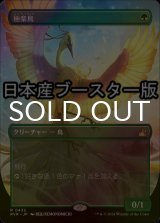 [FOIL] 極楽鳥/Birds of Paradise ● (全面アート・日本産ブースター版) 【日本語版】 [RVR-緑R]