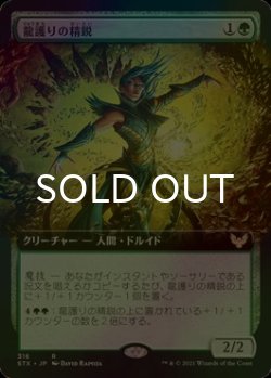 画像1: [FOIL] 龍護りの精鋭/Dragonsguard Elite (拡張アート版) 【日本語版】 [STX-緑R]