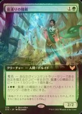 [FOIL] 龍護りの精鋭/Dragonsguard Elite (拡張アート版) 【日本語版】 [STX-緑P]