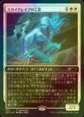 [FOIL] スカイクレイブの亡霊/Skyclave Apparition 【日本語版】 [GDY-白P]