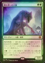 [FOIL] 群れ率いの人狼/Werewolf Pack Leader （プロモスタンプ版） 【日本語版】 [AFR-緑R]