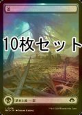 [FOIL] 沼/Swamp No.306 10枚セット 【日本語版】 [MH3-土地L]