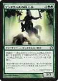 ケンタウルスの戦上手/Centaur Battlemaster 【日本語版】 [THS-緑U]