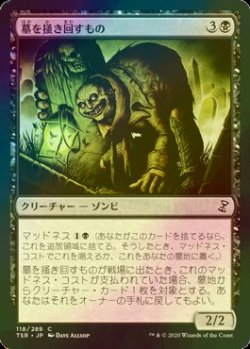 画像1: [FOIL] 墓を掻き回すもの/Grave Scrabbler 【日本語版】 [TSR-黒C]