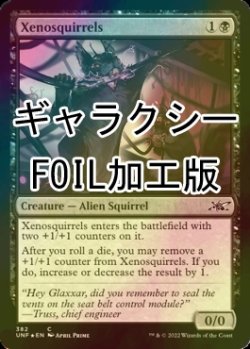 画像1: [FOIL] Xenosquirrels (ギャラクシー仕様) 【英語版】 [UNF-黒C]