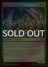 [FOIL] Squirrel Squatters (ギャラクシー仕様) 【英語版】 [UNF-緑U]