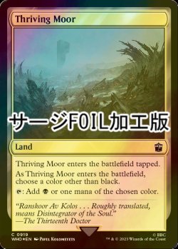 画像1: [FOIL] 興隆する湿地帯/Thriving Moor No.919 (サージ仕様) 【英語版】 [WHO-土地C]