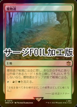 画像1: [FOIL] 獲物道/Game Trail No.875 (サージ仕様) 【日本語版】 [WHO-土地R]