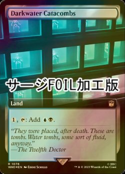 画像1: [FOIL] ダークウォーターの地下墓地/Darkwater Catacombs No.1078 (拡張アート版・サージ仕様) 【英語版】 [WHO-土地R]