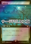 [FOIL] 異臭の池/Fetid Pools No.1085 (拡張アート版・サージ仕様) 【日本語版】 [WHO-土地R]