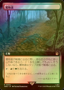 画像1: [FOIL] 獲物道/Game Trail No.500 (拡張アート版) 【日本語版】 [WHO-土地R]