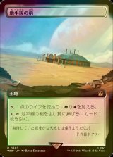 [FOIL] 地平線の梢/Horizon Canopy No.503 (拡張アート版) 【日本語版】 [WHO-土地R]