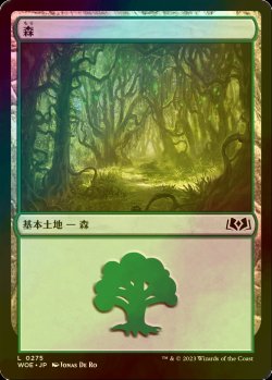 画像1: [FOIL] 森/Forest No.275 【日本語版】 [WOE-土地C]