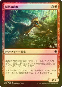 画像1: [FOIL] 猛竜の群れ/Thrash of Raptors 【日本語版】 [XLN-赤C]