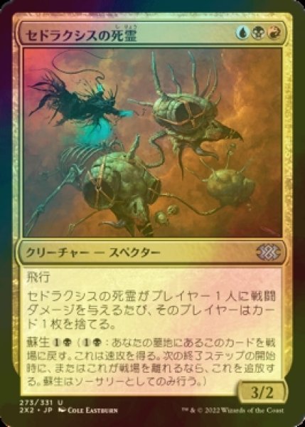 画像1: [FOIL] セドラクシスの死霊/Sedraxis Specter 【日本語版】 [2X2-金U] (1)