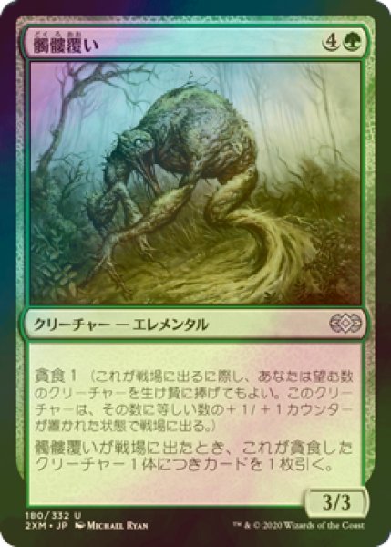 画像1: [FOIL] 髑髏覆い/Skullmulcher 【日本語版】 [2XM-緑U] (1)