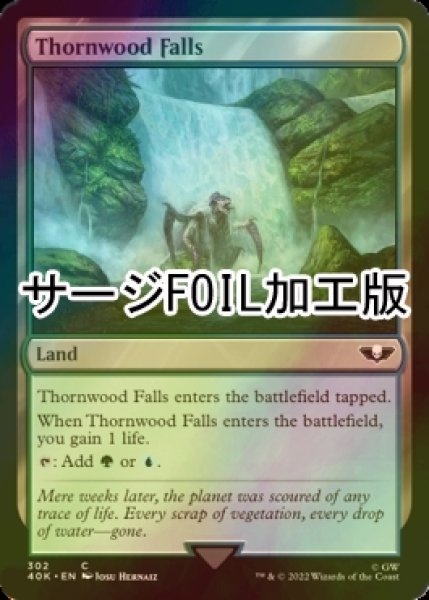 画像1: [FOIL] 茨森の滝/Thornwood Falls (サージ仕様) 【英語版】 [40K-土地C] (1)