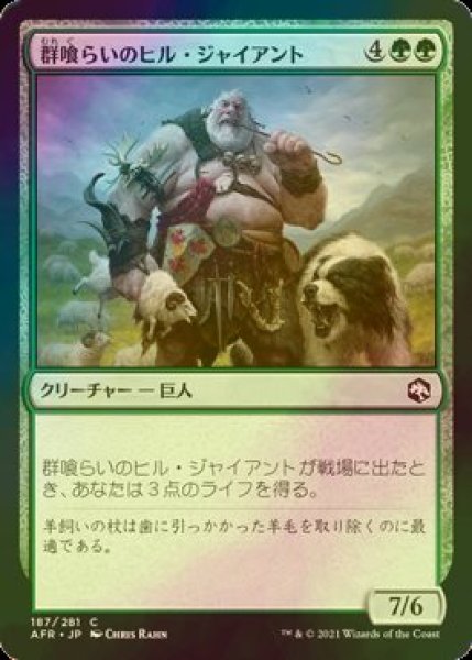 画像1: [FOIL] 群喰らいのヒル・ジャイアント/Hill Giant Herdgorger 【日本語版】 [AFR-緑C] (1)