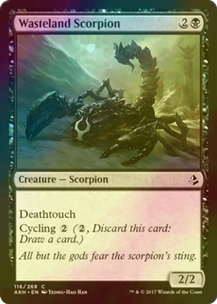 画像1: [FOIL] 不毛地の蠍/Wasteland Scorpion 【英語版】 [AKH-黒C] (1)