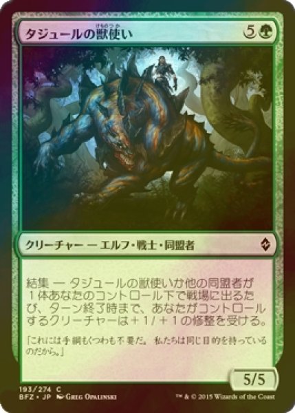 画像1: [FOIL] タジュールの獣使い/Tajuru Beastmaster 【日本語版】 [BFZ-緑C] (1)