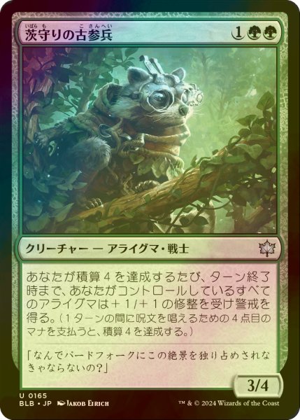 画像1: [FOIL] 茨守りの古参兵/Brambleguard Veteran 【日本語版】 [BLB-緑U] (1)