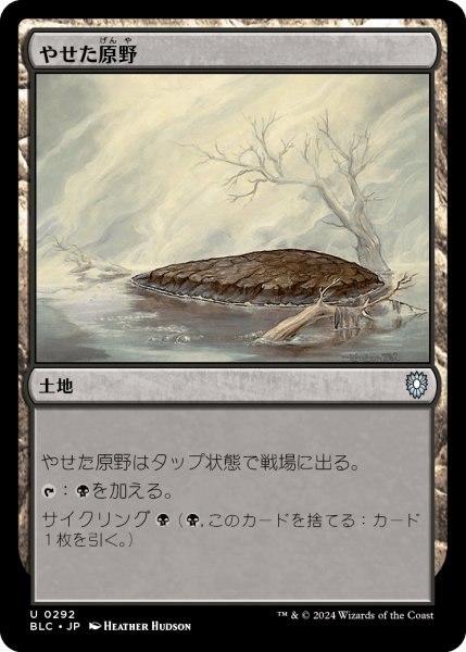 画像1: やせた原野/Barren Moor 【日本語版】 [BLC-土地U] (1)