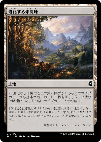 画像1: 進化する未開地/Evolving Wilds 【日本語版】 [BLC-土地C] (1)