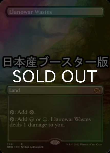 画像1: [FOIL] ラノワールの荒原/Llanowar Wastes ● (全面アート・日本産ブースター版) 【英語版】 [BRO-土地R] (1)