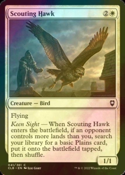 画像1: [FOIL] 偵察の鷹/Scouting Hawk 【英語版】 [CLB-白C] (1)