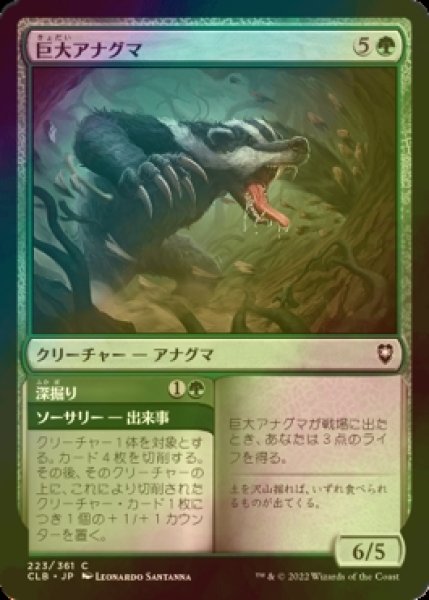 画像1: [FOIL] 巨大アナグマ/Colossal Badger 【日本語版】 [CLB-緑C] (1)