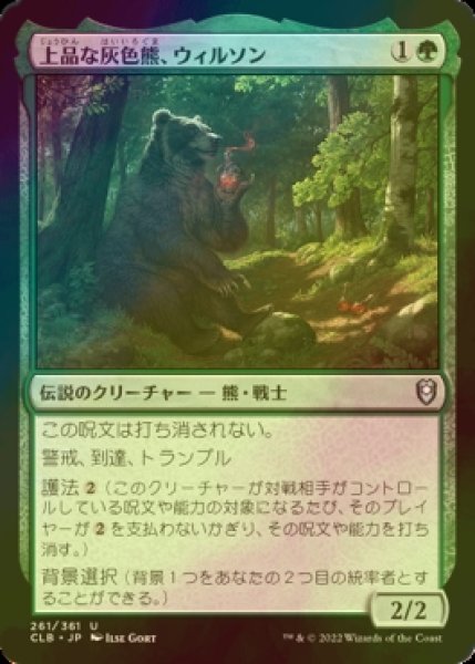 画像1: [FOIL] 上品な灰色熊、ウィルソン/Wilson, Refined Grizzly 【日本語版】 [CLB-緑U] (1)