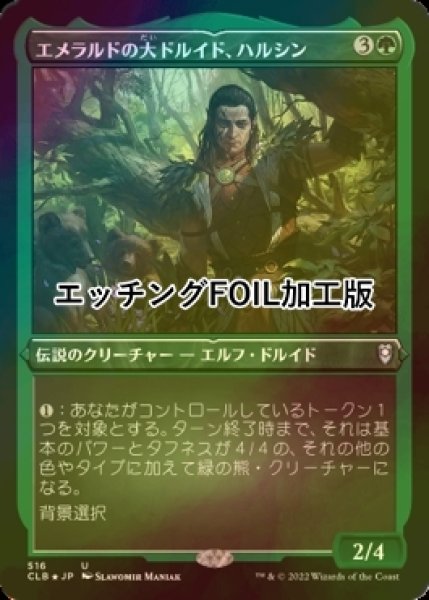 画像1: [FOIL] エメラルドの大ドルイド、ハルシン/Halsin, Emerald Archdruid (エッチング仕様) 【日本語版】 [CLB-緑U] (1)