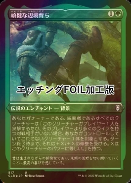 画像1: [FOIL] 頑健な辺境育ち/Hardy Outlander (エッチング仕様) 【日本語版】 [CLB-緑U] (1)